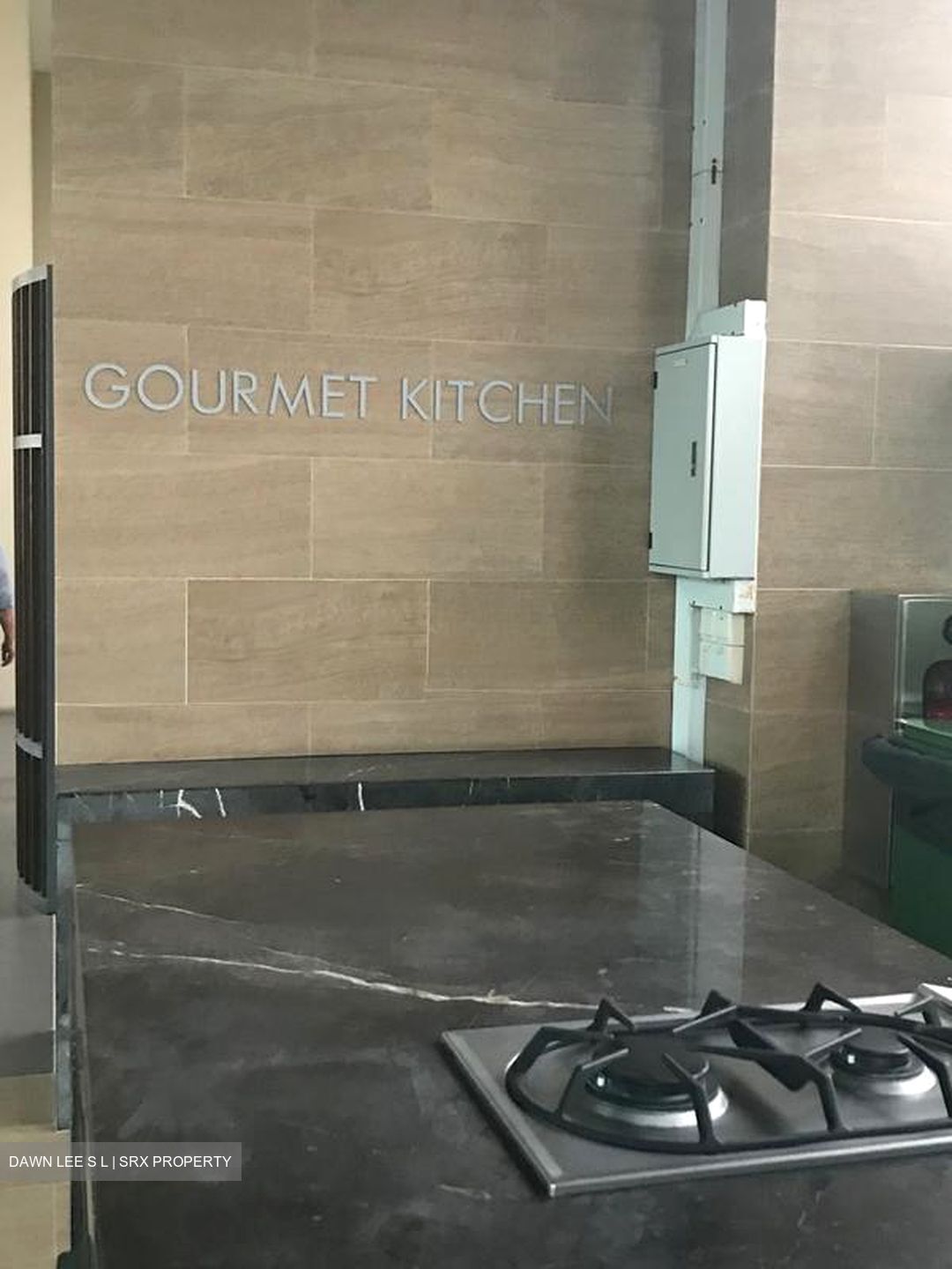 Lincoln Suites (D11), Condominium #498284971
